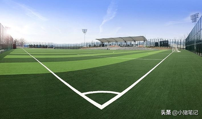 足球场的草坪标准尺寸,足球场每块草坪是多少尺寸