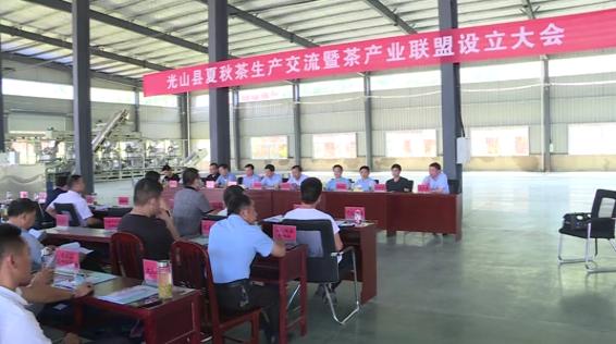 信阳茶叶产业体系,信阳茶联盟现状