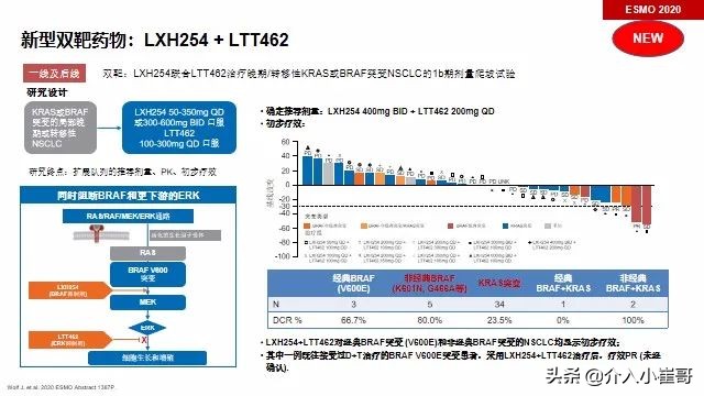 肺癌罕见基因治疗进展,肺癌只有基因突变才能靶向治疗吗