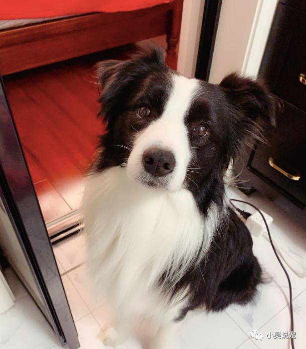 粉丝投稿真的有用吗,粉丝投稿正能量