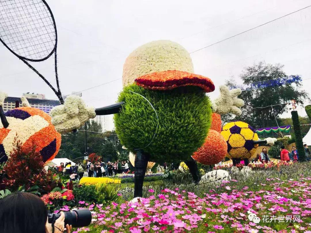 共赴盛会活动,香港国际花卉展