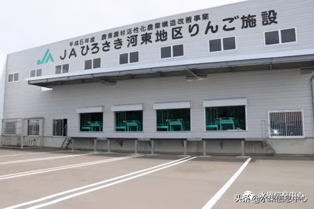 日本苹果种植现状,为什么日本苹果质量比中国的好