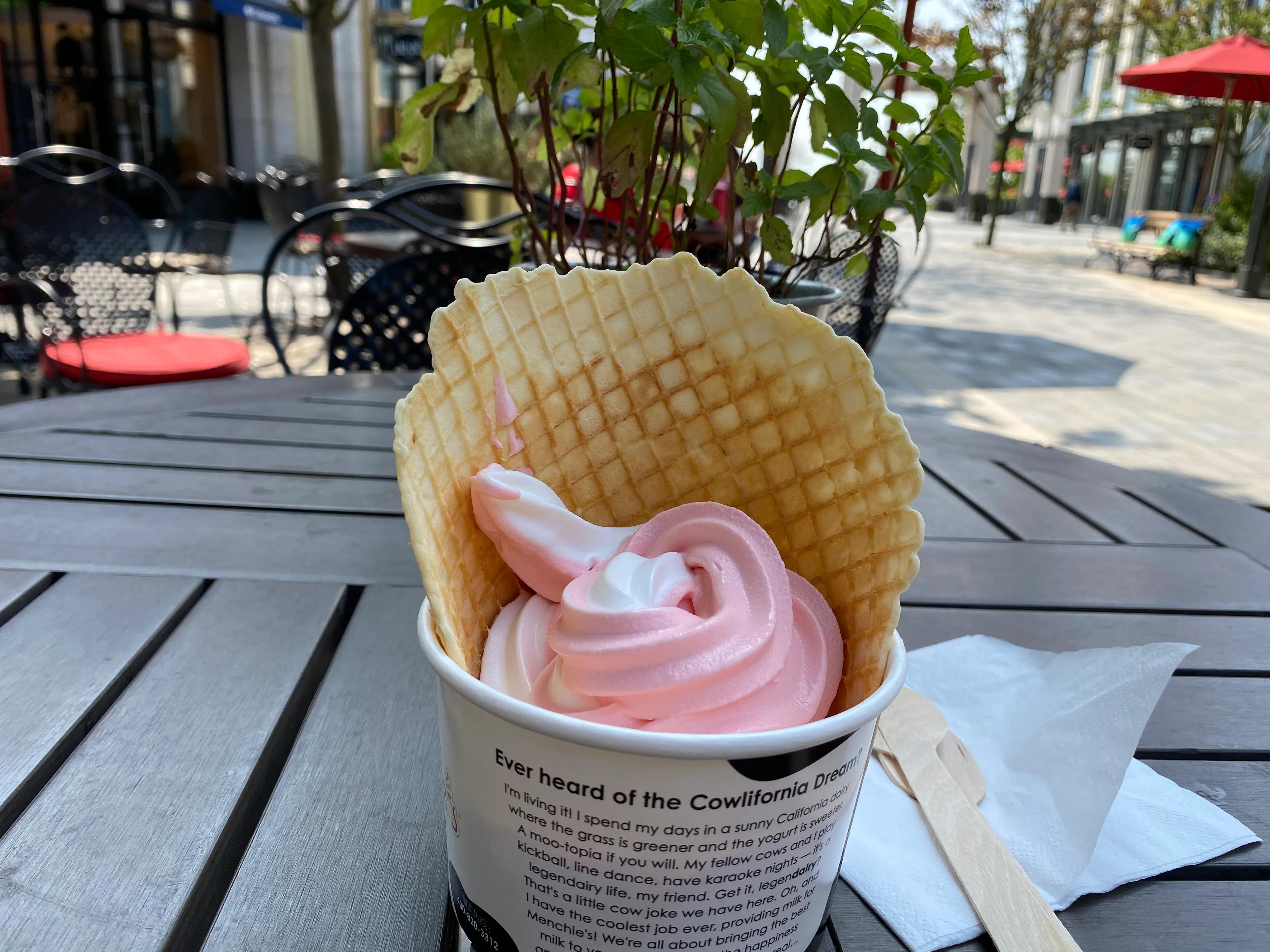 奕欧来可以带狗吗,奕欧来可以带宠物吗