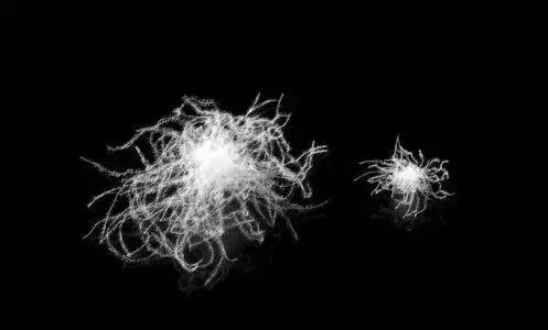 羽绒被鹅绒被哪个牌子实惠又好,鹅绒羽绒被95%与90%哪个好