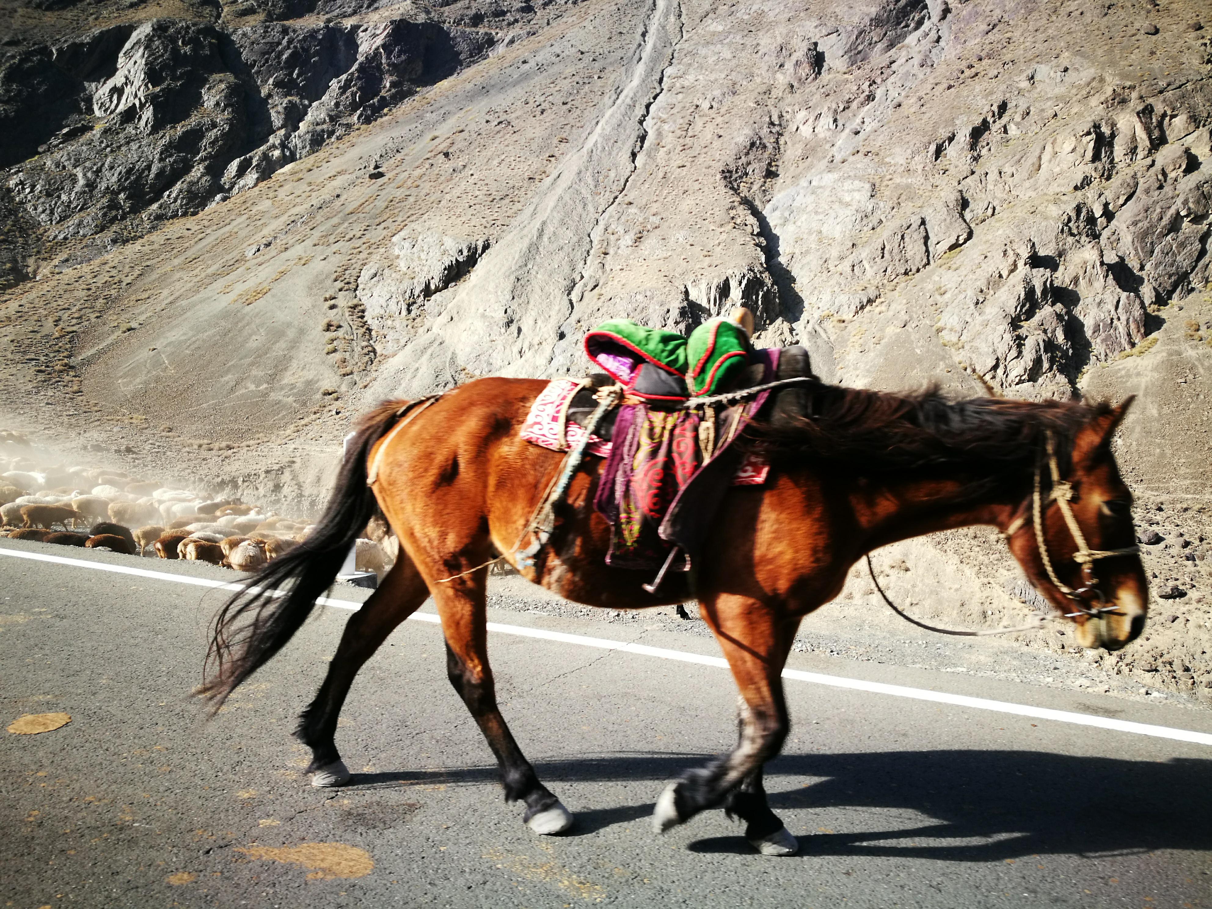 独库公路之旅日记,13000公里自驾新疆第十二天