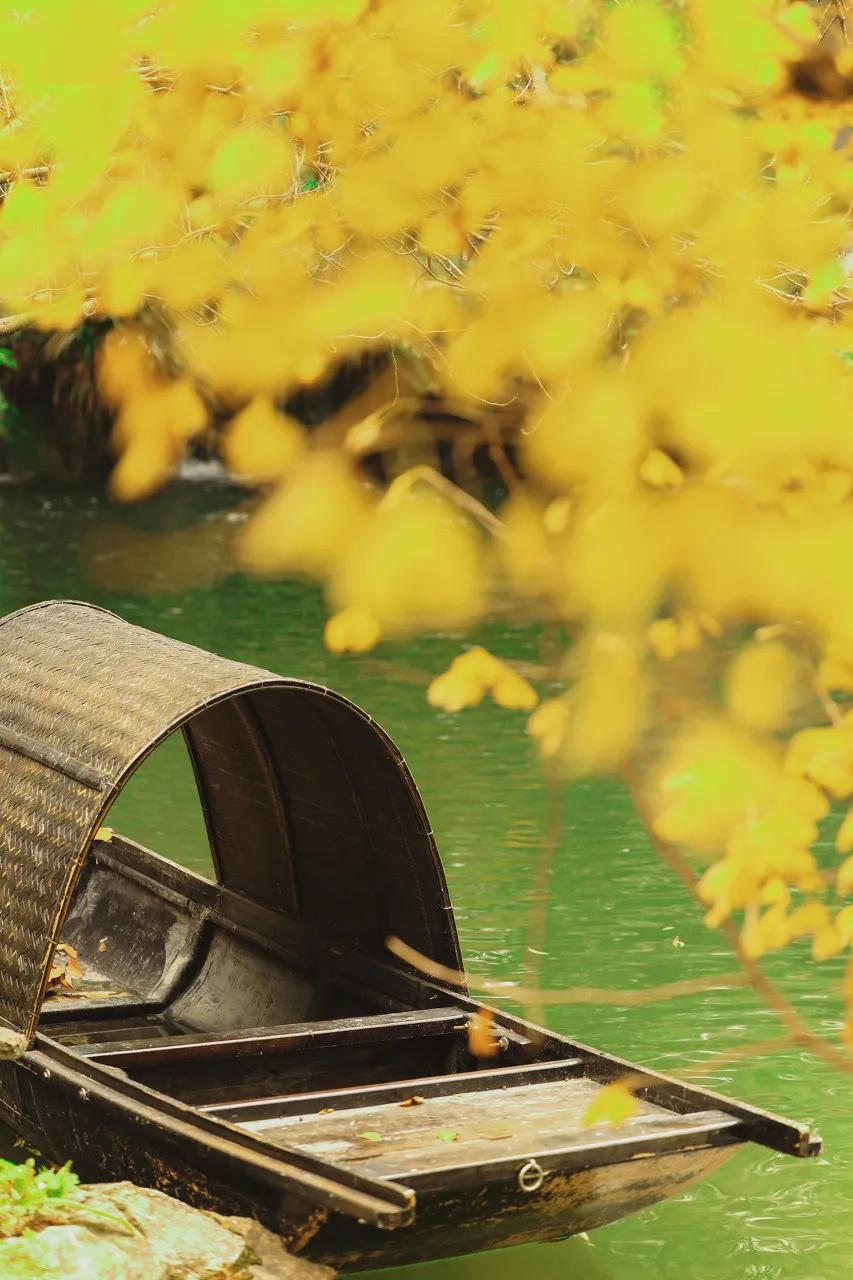 这样的成都你还爱吗,这样的成都你见过吗