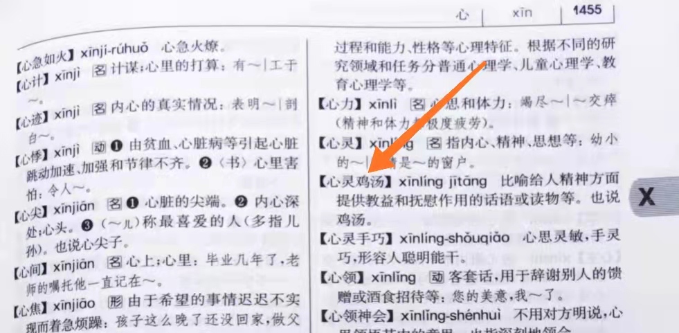 新华字典现代汉语词典,新华字典和现代汉语词典的区别