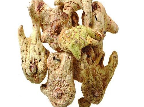 《本草精荟》：收敛止血：白及的功效与应用