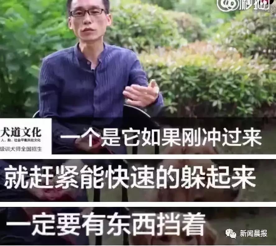 遛狗不牵绳算野狗吗,遛狗不牵狗绳咬伤别人怎么办