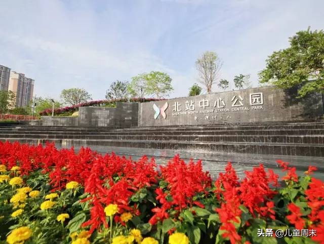 深圳中心公园足球场,深圳中心公园大草坪