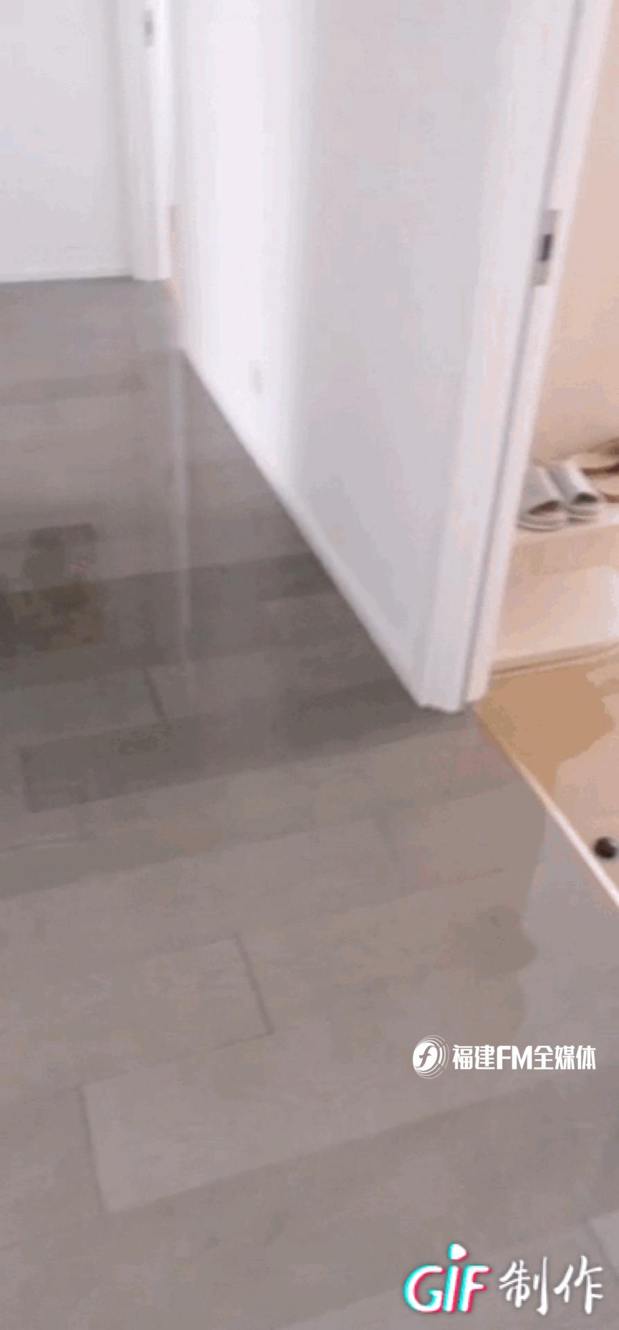 潘先生福州,净水器爆炸谁来负责