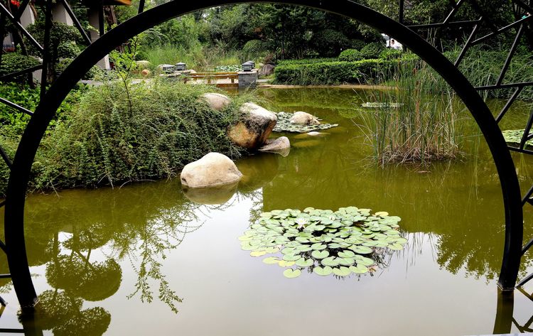 绿意绕绕一路行