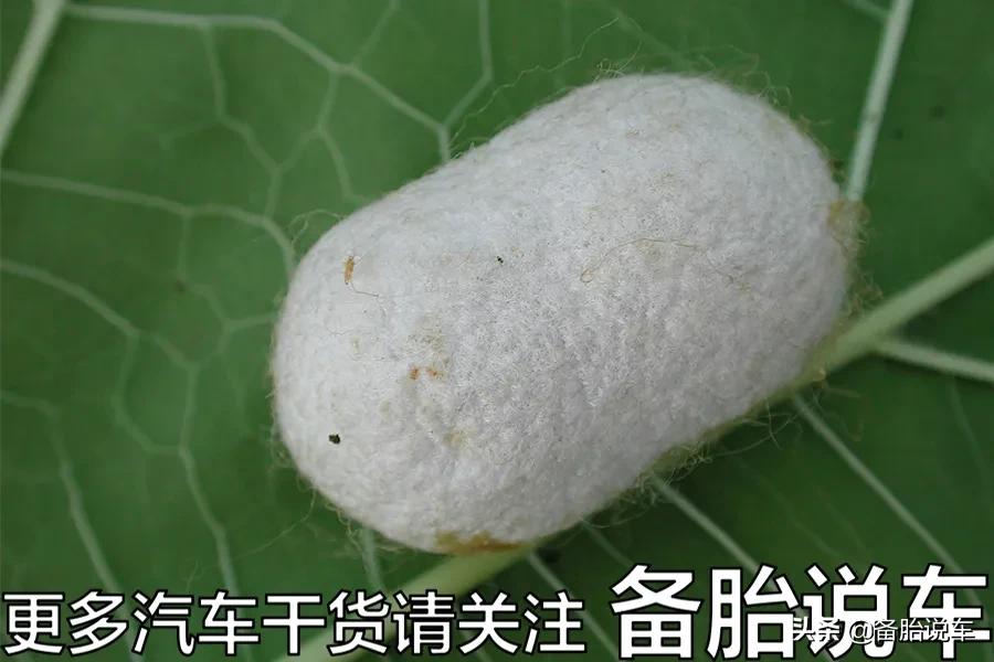 奔驰销量为啥那么好,奔驰质量下降销量却很好