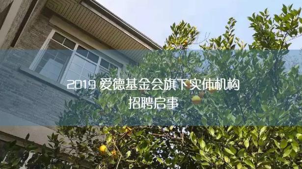 爱德基金会招聘第二波|公益实体机构，等你来！