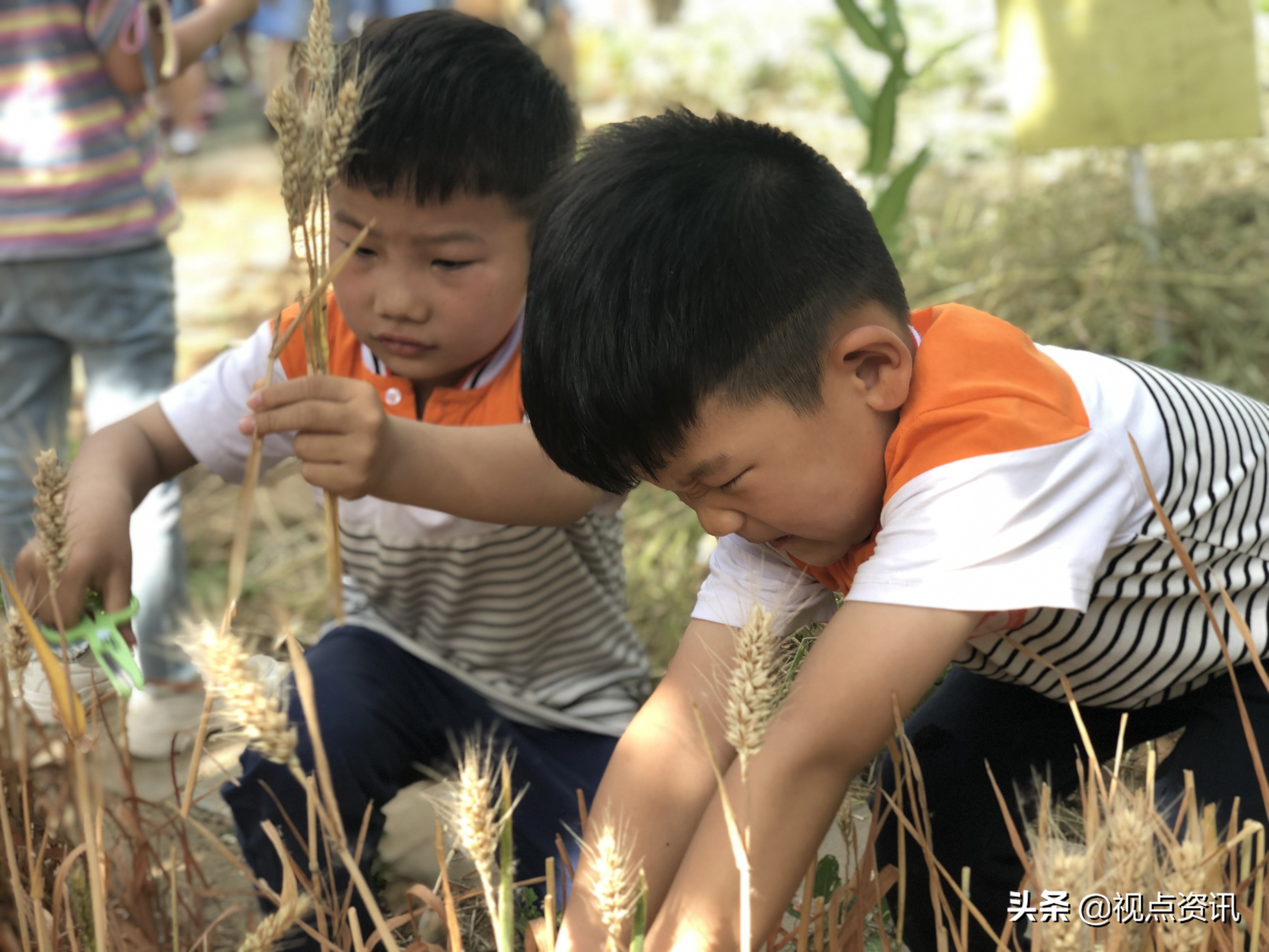 探析郑州市惠济区花园口幼儿园“育根教育”特色文化发展之路