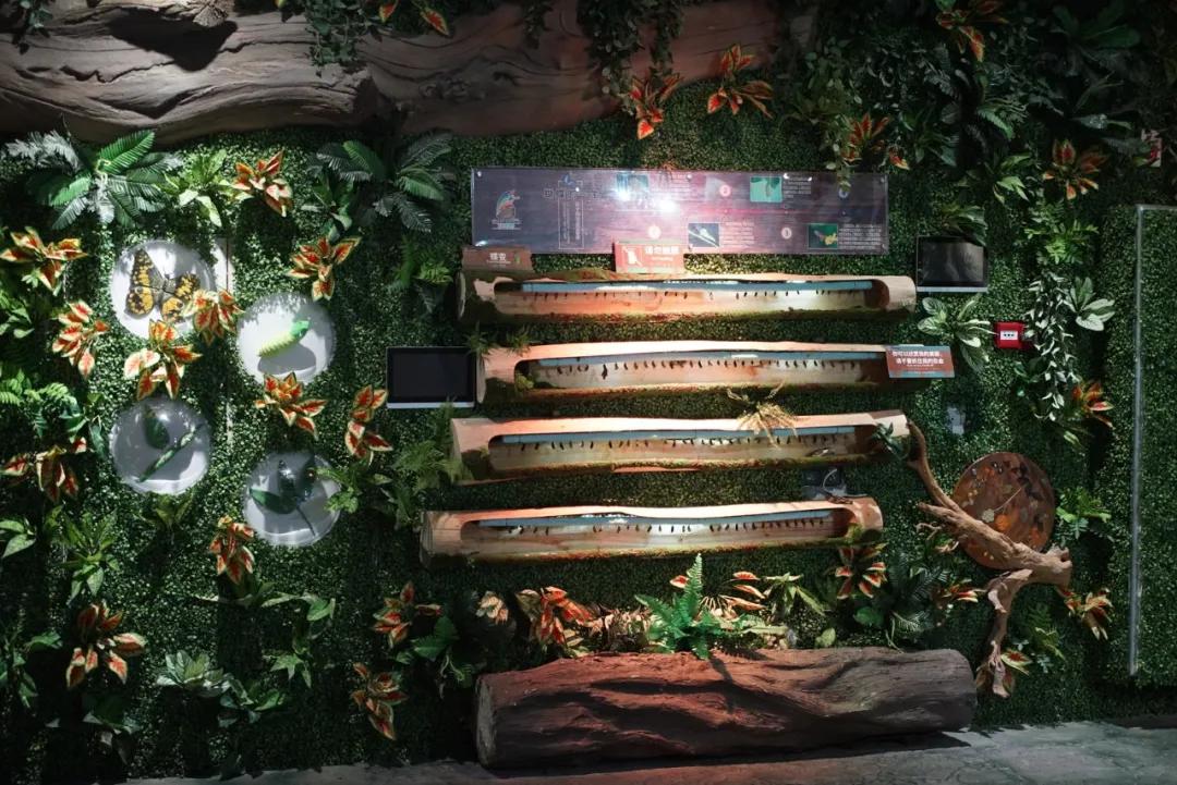 占地30000㎡！这艘建在安华汇天台上的巨船，竟是亲子乐园