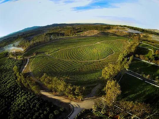 不用农药,让超1000种动植物生态平衡,这次美国人真的做到了