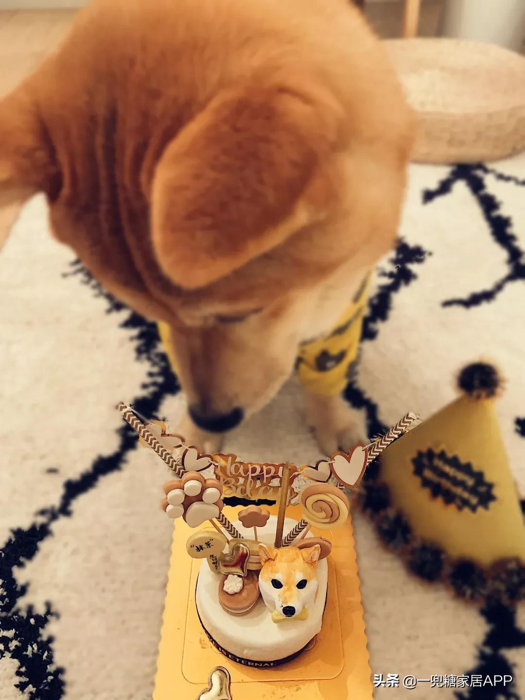 绉嶈崏鐢熸椿鏂瑰紡,绉嶈崏缁囧竷