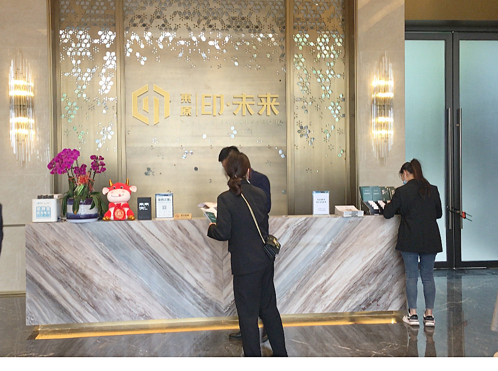 临空港新秀楼盘-东原印未来，一起来看看怎么样？