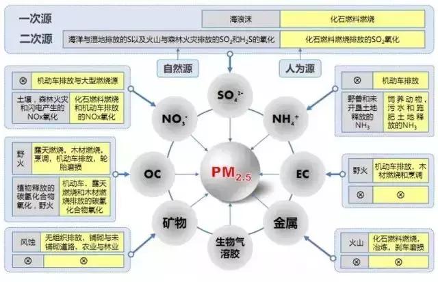 雾霾人体危害有哪些,雾霾的危害视频
