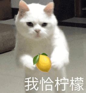 孙俪晒近照脸型瘦削两颊凹陷,孙俪杨幂16年前旧照曝光