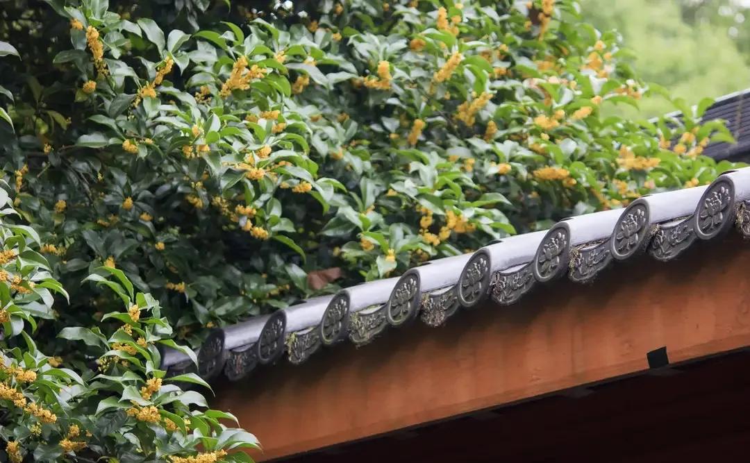 王维诗词最佳十首完整版,王维诗文作品100首