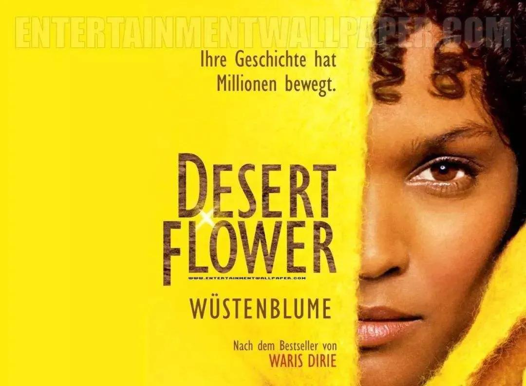 世界上有多少女性被杀,世界上有哪些女人被判处死刑