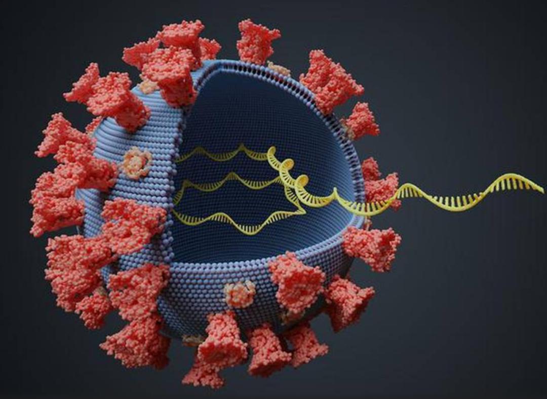 印度三年疫情共死亡多少人,印度疫情最新真实状况24小时