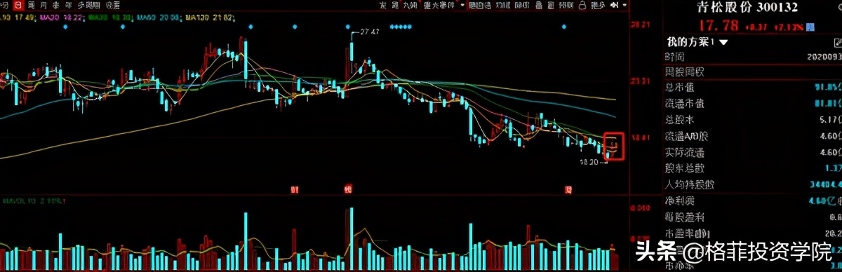青松股份投资,青松股份投产