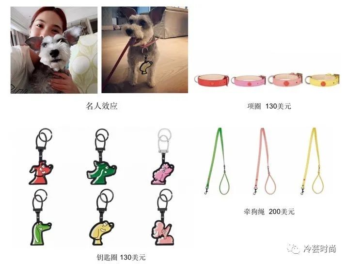 宠物新兴行业前景如何,宠物行业未来赚钱机会在哪