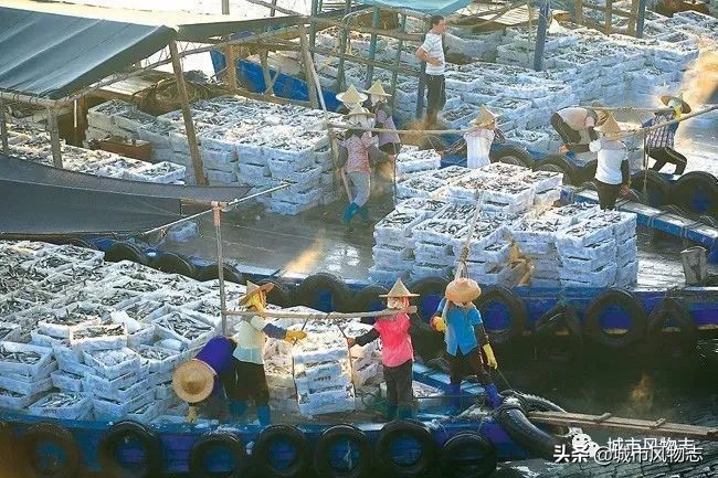 儋州|苏东坡既想“代言”，又想保密的地方