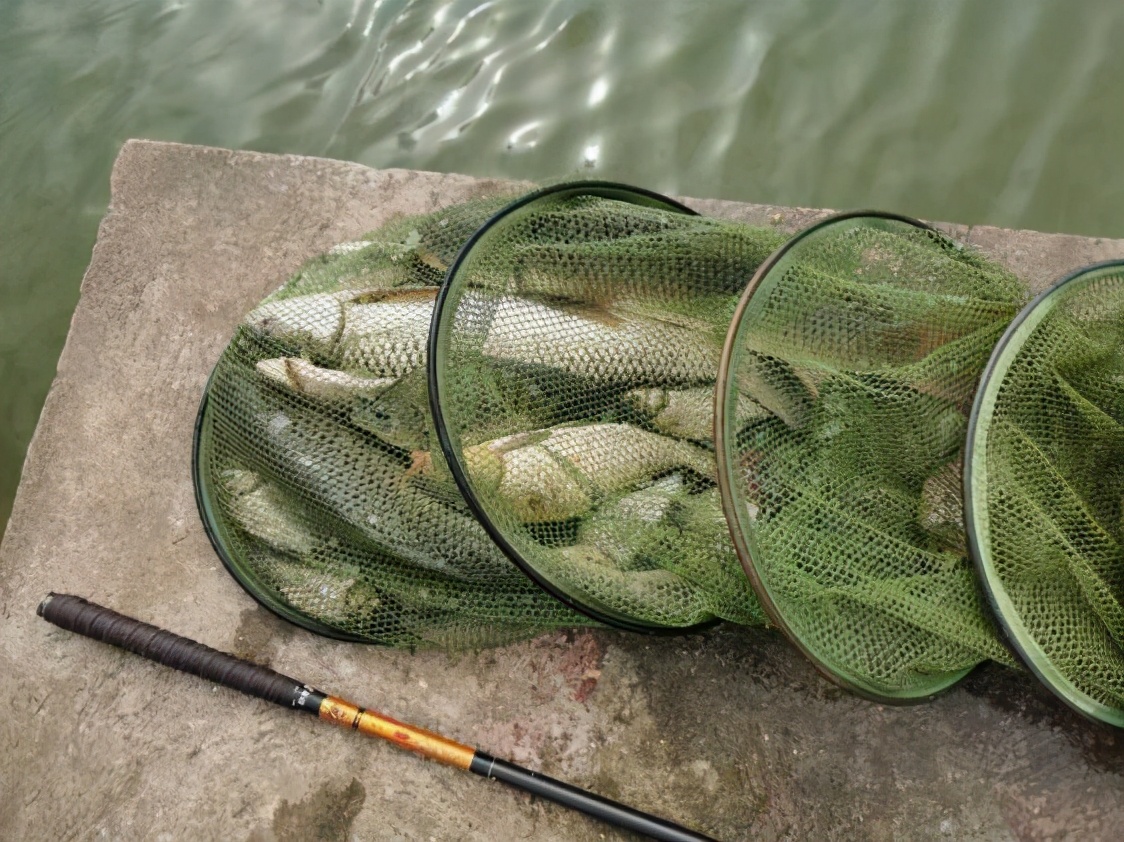 本汀金迦潘强硬弓测评,本汀金迦潘强弓鱼竿测评