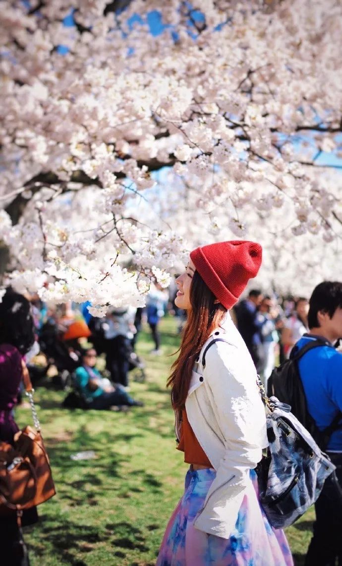 许婧为什么和陈赫离婚,许婧和陈赫为什么离婚