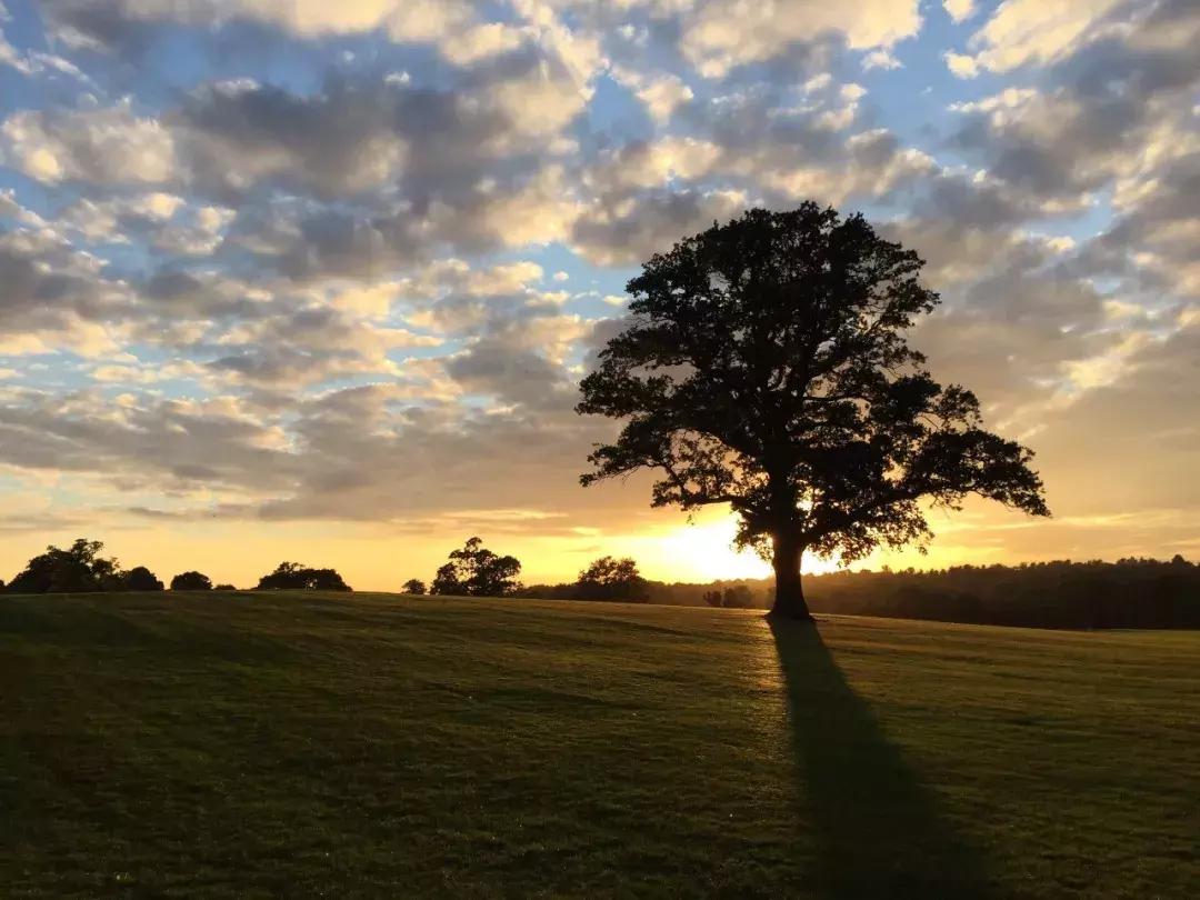 顶级奢华100亩中式庄园,顶级富豪的私人豪宅庄园