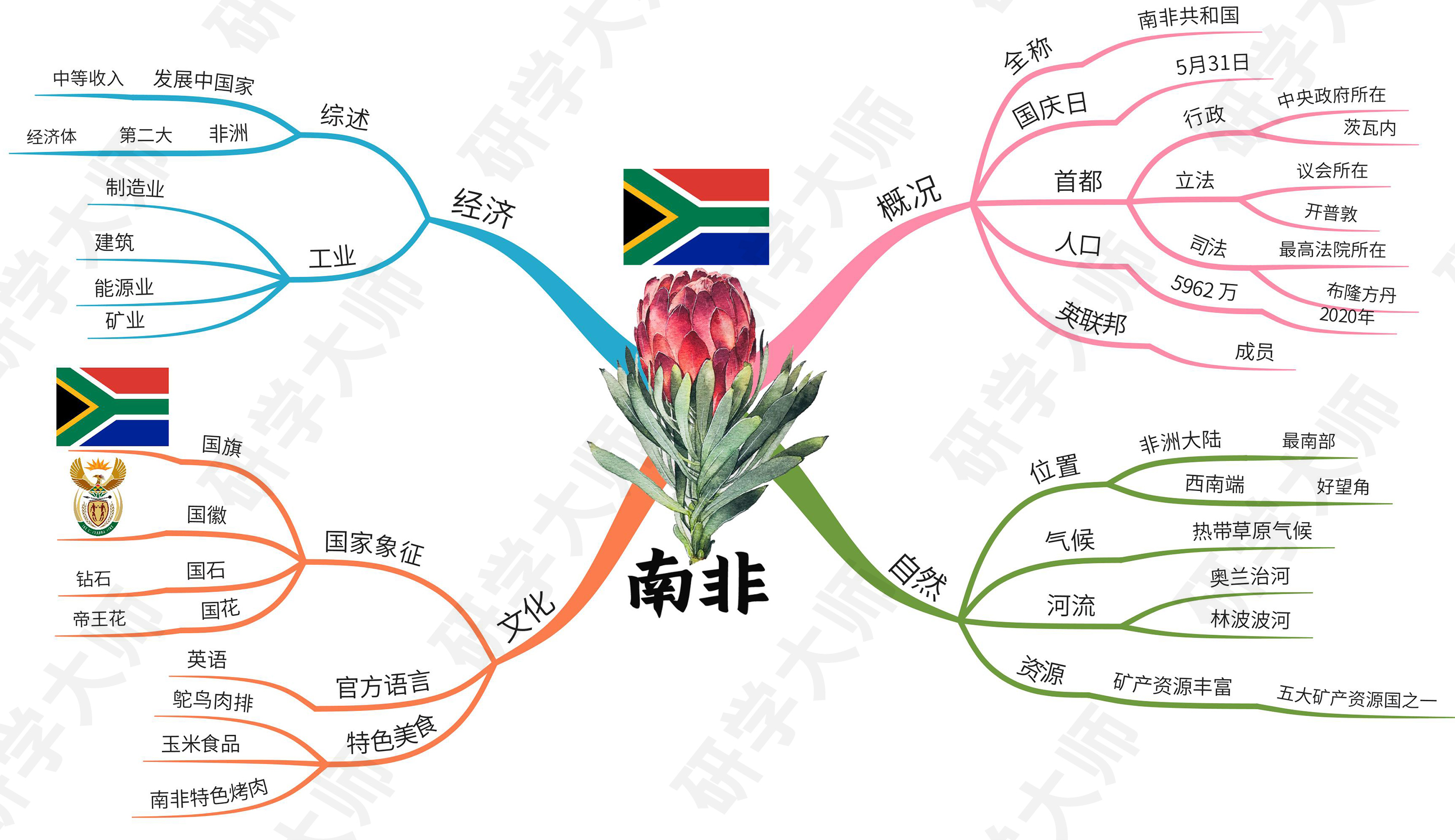 奥运会思维导图最最最简单的,北京冬奥会奥运项目思维导图