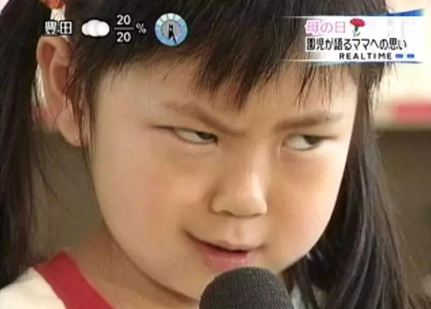 动物星球沙雕系列手办,你从未见过的沙雕手办