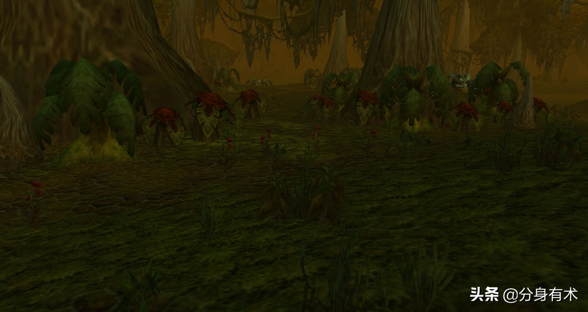 魔兽怀旧服最致命的陷阱声望任务,魔兽怀旧服4大声望