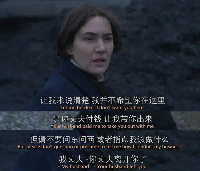 《菊石》的后劲：沉浸体验式的阅片过程，前所未有