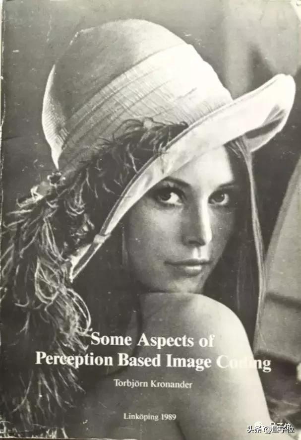 从花花公子到超级英雄,从花花公子到科学巨匠体现了什么