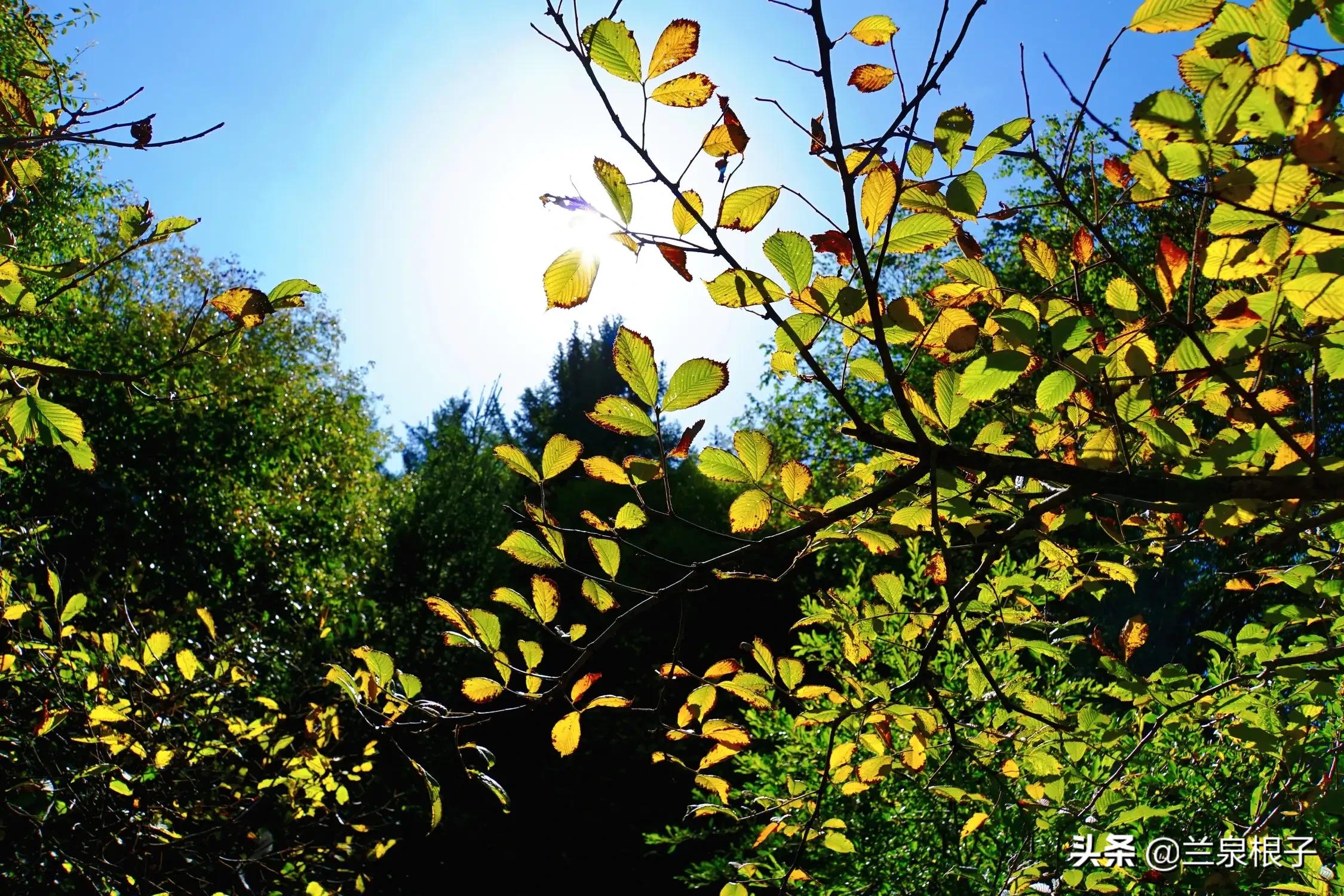 秋天的孟达天池,美丽的孟达天池