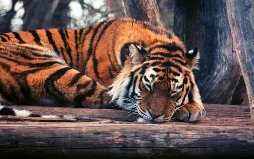 滴滴自动驾驶布局迎来新进展,滴滴自动驾驶正式转外包