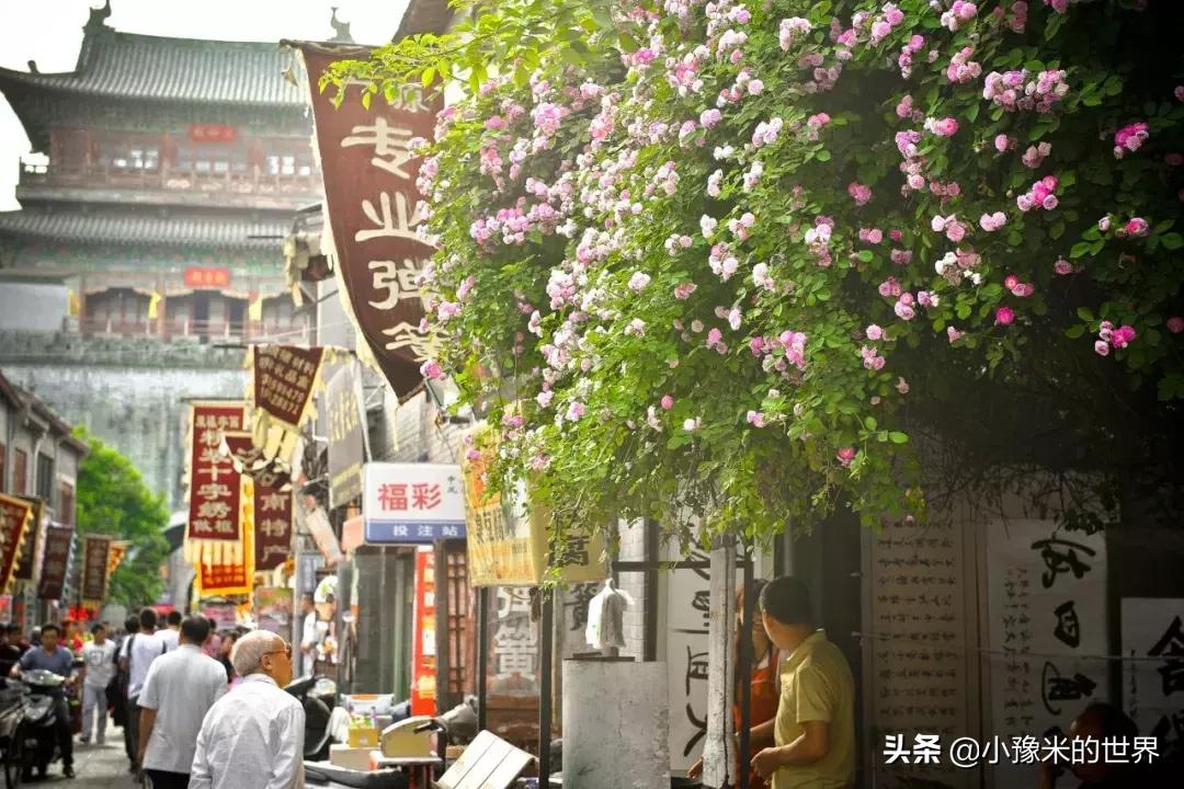 河南洛阳发布最新通知,洛阳牡丹花会向全世界发出邀请