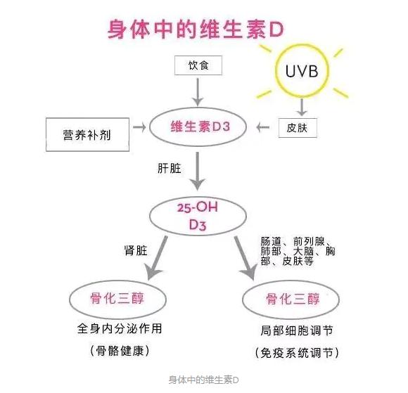补钙每天需要补充多少维生素d,骨质疏松补钙还可以恢复吗