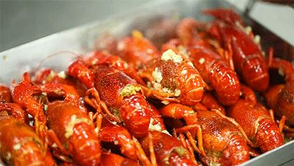 半个娱乐圈都打卡的眼镜小腰在簋街开店了！竟然3天五折！