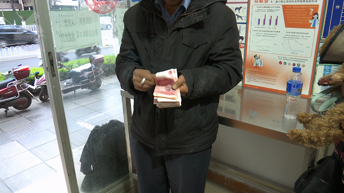 泰迪前腿残疾训练,残疾泰迪能收留吗