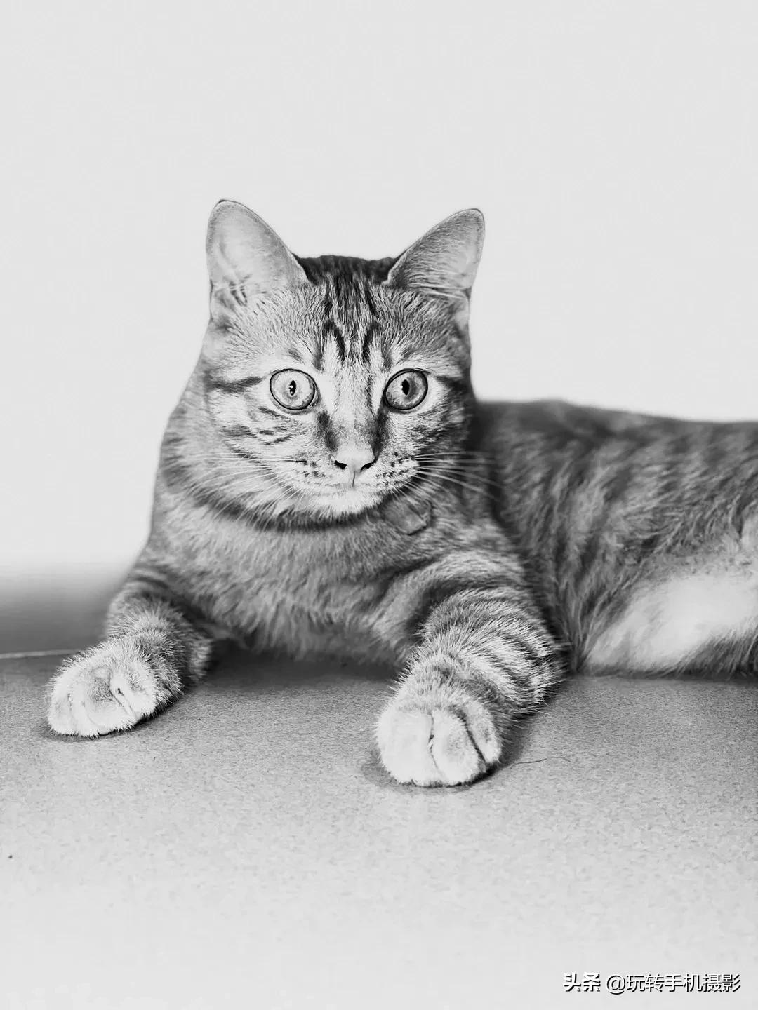 真羡慕那些拍照不用修图的女孩子,为什么那么多人喜欢iphone拍照