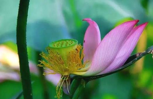 人生迷茫的时候该怎么做,人生迷茫时应该做的事