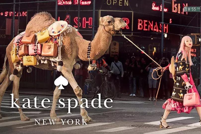 摩洛哥风格拍照大片,摩洛哥拍照写真