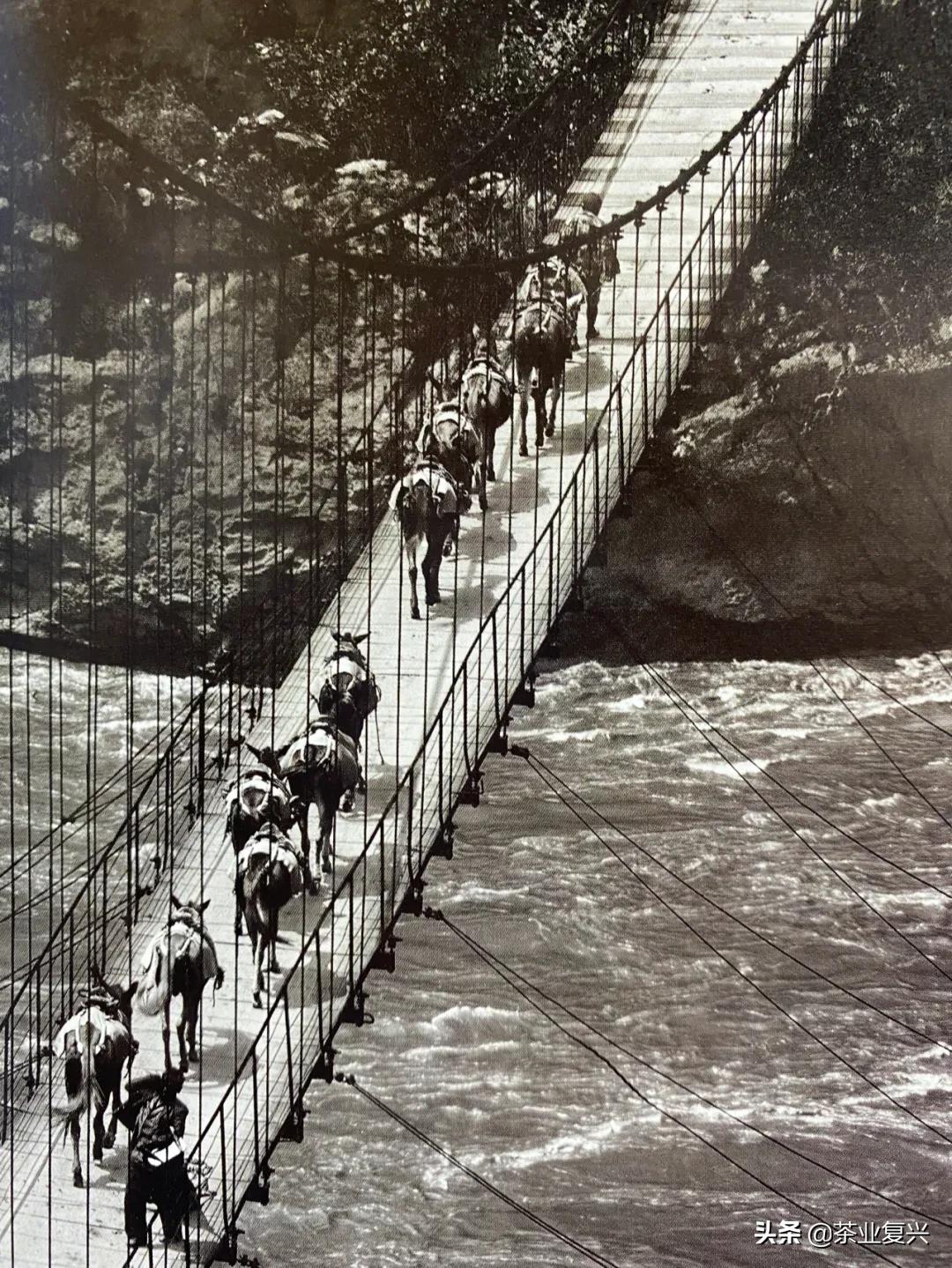 鑼舵病鐩愪汉娌￠挶,鑼舵贰涓嶅姘翠汉绌蜂笉濡傞