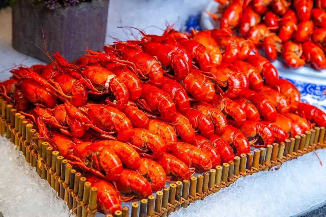 魔都200块钱的菜,200块一个菜高端美食